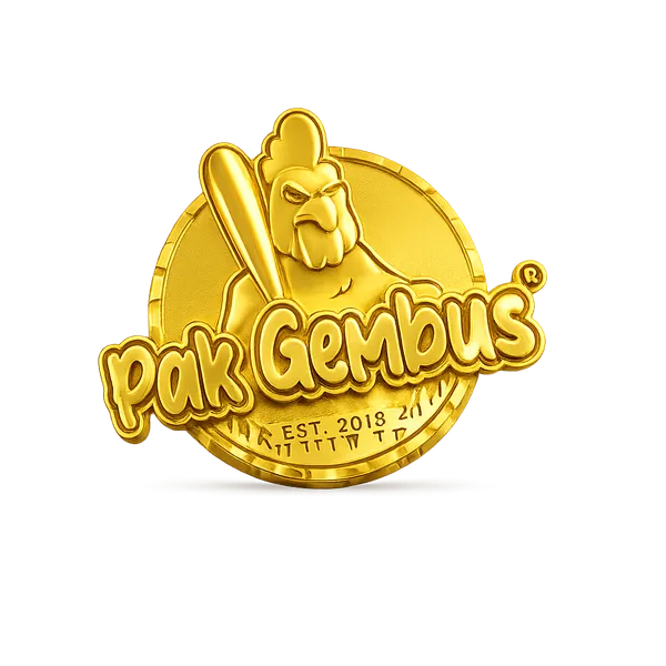 GEMBUS3